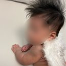 경기사 | 내돈내산 셀프 백일상 대여 후기 / 【 은테이블, 컨셉: 경 】