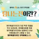 체크인바 | 제주 지역화폐 탐나는전 체크카드 발급•사용•캐시백 후기