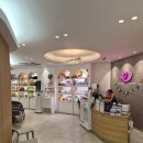 에코동물병원 | 에코특수병원 방문 후기 프레리독 진료