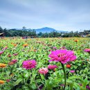 고*석 - 안양시 만안구 삼봉로 61 | 고*석