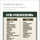 더조은투어 이미지