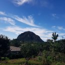 홈인제주 이미지