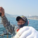 참가자미 이미지