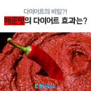 다이어트의 비밀? 매운맛의 다이어트 효과는? 이미지