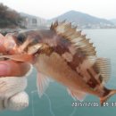 낚시만세 이미지