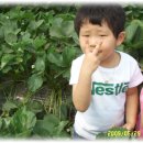 현식농장 이미지