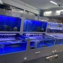 일동회직판장 이미지