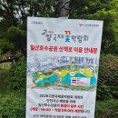 2026 고양국제꽃박람회 일산호수공원 이용후기 꿀팁 아쉬운점