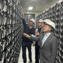 한국 태양광발전소 이미지