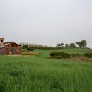 빠담목장 이미지