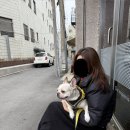선주미용실 - 경주시 | [합정 미용실] 애채 합정 선주쌤 커트&염색 추천 후기