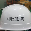 (주)디에스그린 이미지