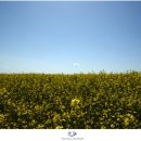 세도 금강변 이미지