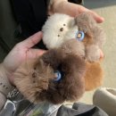 일기 첫번째_ 23년 12월에 첫일기 제과제빵기능사도전,케디마스터,카페투잡알바몬