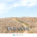 황매산 억새축제 | 가을명소 합천 황매산 억새축제 후기, 일정 오토캠핑장 주차장