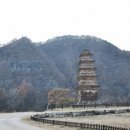 봉감모전5층석탑 옆 이미지