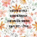 다짐 / 신희성 이미지