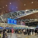 594 | 이스타항공 ZE594편 탑승후기｜다낭 → 인천 기내환경·좌석 리뷰