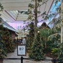 현대(아) | 더현대서울 크리스마스 해리의 공방 아뜰리에 드 노엘 예약 후기 포토존 대기 시간