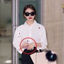 보라케이스