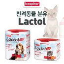 폴리파크 비산점 이미지