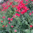 갈마가든 이미지