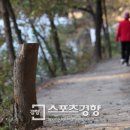 올레스포츠 이미지