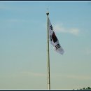 구리 한강시민공원 유체축제입니다 2016.5.14 이미지