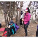 해명초교 이미지