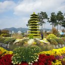 남구-051 이미지