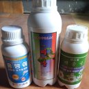 용안농약사 이미지