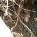 도자기(오전) 이미지