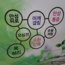 목척추교정원