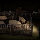 (주)대양메탈 이미지