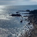 하모이삼로 | [제주 밥집] 제주도에 가면 뭐먹나요?_편 (각지불, 영이해산물, 산방식당, 플로이스트 베이커리 카페...