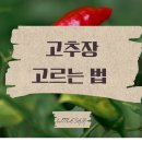 농업회사법인신안천일염주식회사 | 맛과 건강을 잡는 고추장 고르는 법 3가지 포인트