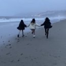 슬기로운 자취생활.