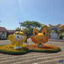 먹거리공작소이것저것 | 함평나비축제 당일치기 후기(2026)｜대구 왕복 6시간 강행군 만족도 최고