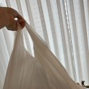 브뤼트 | [장산 맛집] 브뤼트피자 해운대장산점 - 블루베리피자 트러플오일버섯피자 후기