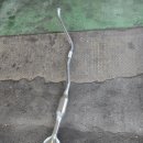 무실자동차공업사 이미지