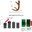 세원한의원 네이버블로그