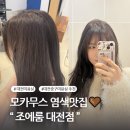 대전중구미용실 쿨톤 모카무스염색 추천 :: 조에룸 대전점