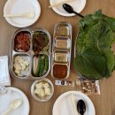 동백중학교 앞(과일킹 앞) | 천안 아이와 가볼만한 곳 애견동반 가능한 바베큐장 비비킹 방문후기