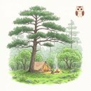 횡성 스므나리캠핑장 b4 b8 명당 사이트 추천 조용한 힐링 캠핑 후기