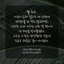 -막다른 골목의 추억,58p (요시모토 바나나/민음사) 이미지