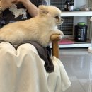 슬기대디 | 사실상 인벤타리오 후기에 가까운 주간 일기ദ്ദി◍•ᴗ•◍)/망향비빔국수/인벤타리오2026/