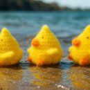 미운오리 이미지