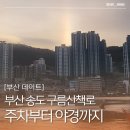 구름강아지 | 부산 송도 구름산책로 주차 야경 입장료 강아지 소요시간 케이블카 못 탄 후기