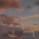 와인이야기 이미지