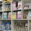 위드독스샵 이미지